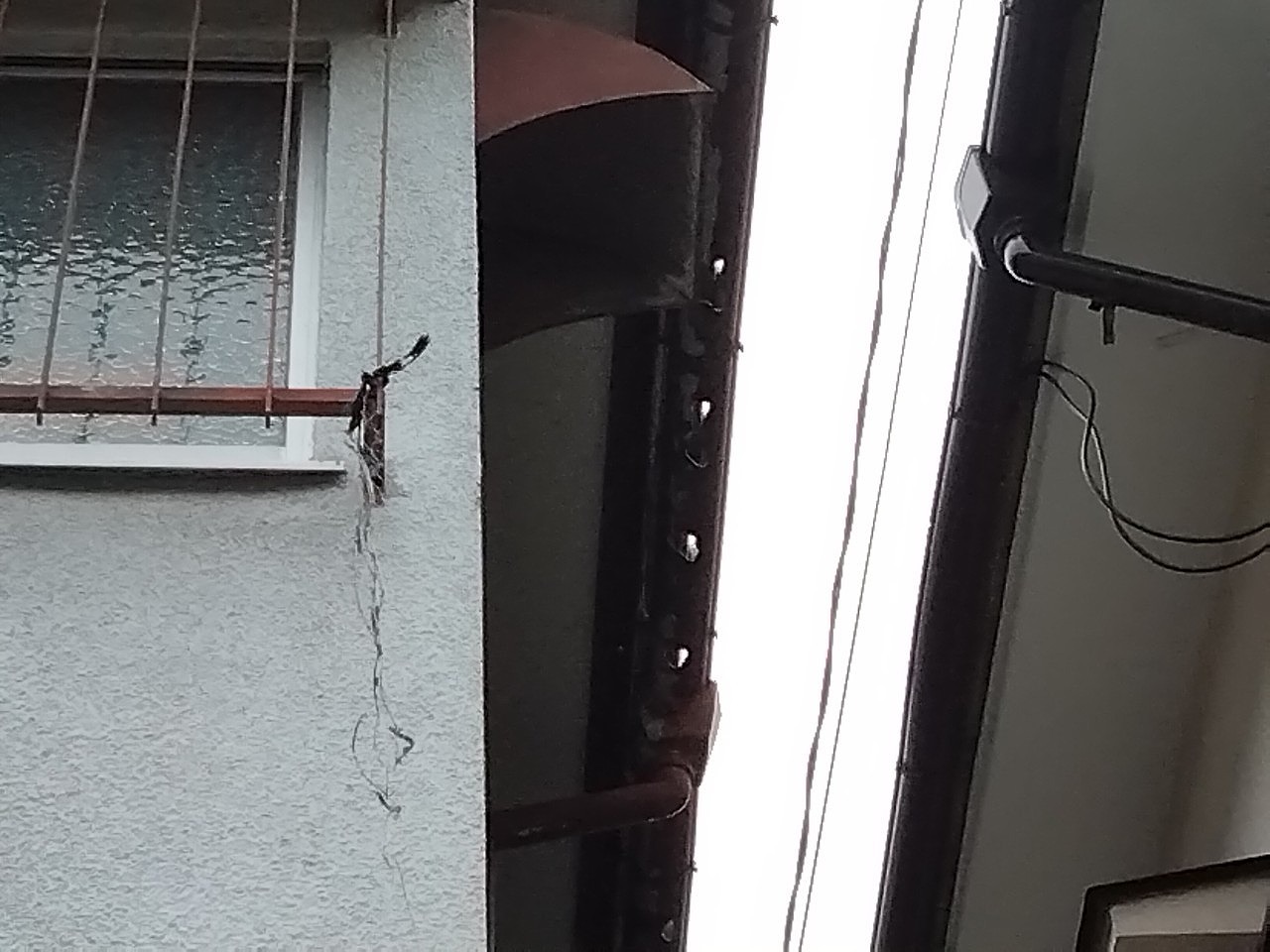 高砂市　軒樋　多数の穴